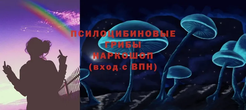 Галлюциногенные грибы Cubensis  Макушино 